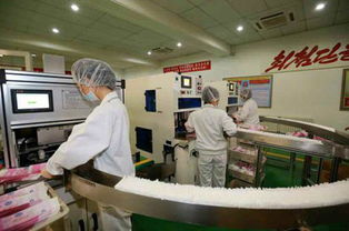 樂浪工廠展新顏 質量優良的個人衛生用品獲贊譽